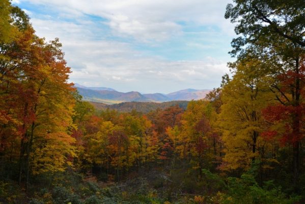 Pinson Mounds State Park