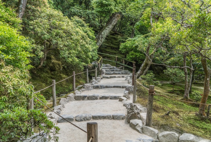 A path in the nature