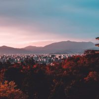 Flea Markets in Japan