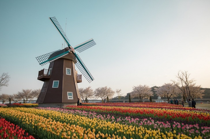Traveling, Netherlands, Hiking
