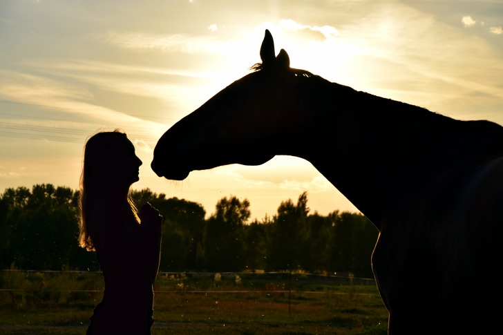 Girl and horse looking at each other