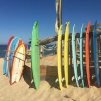 Surfboards