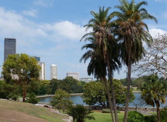 Traveling, New Year, Sydney, Royal Botanic Garden