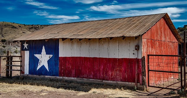 Ranch Vacation in Texas