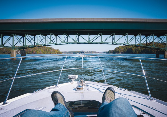 Are There Alligators in Lake Lanier? (2024 Updated)