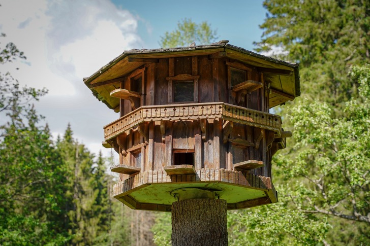 Treehouse, Hawaii