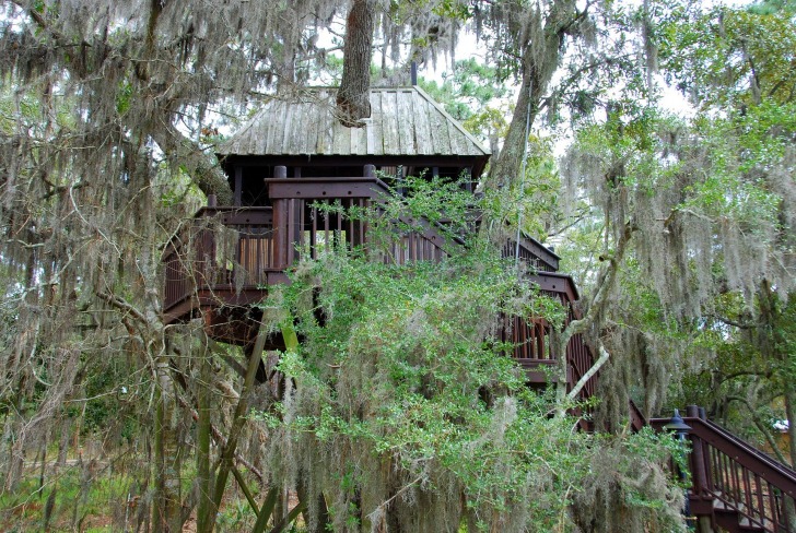 Treehouse, Seattle