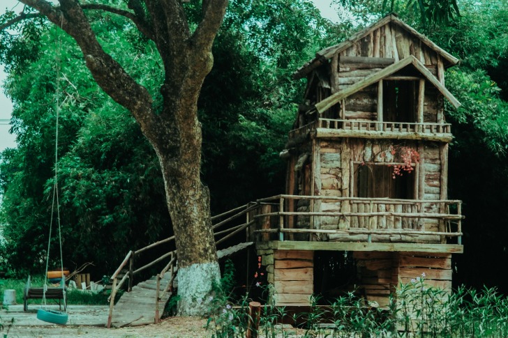 Treehouse, Georgia