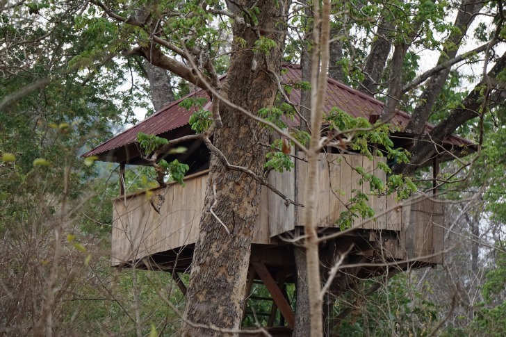 Treehouse, Costa Rica