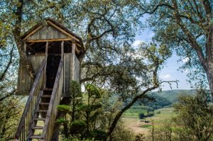Treehouse