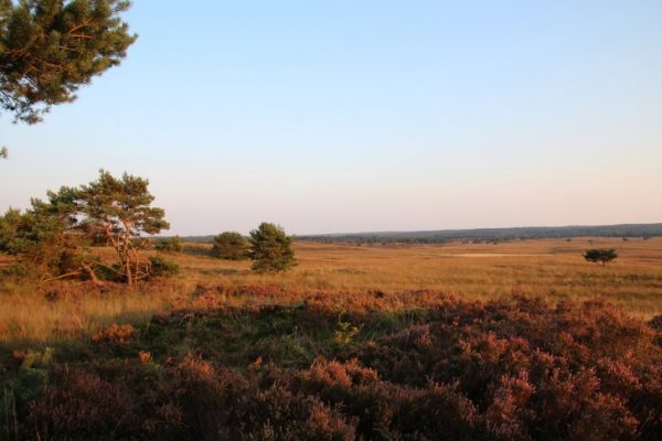 Traveling, Hiking, Netherlands, De Weerribben-Wieden National Park