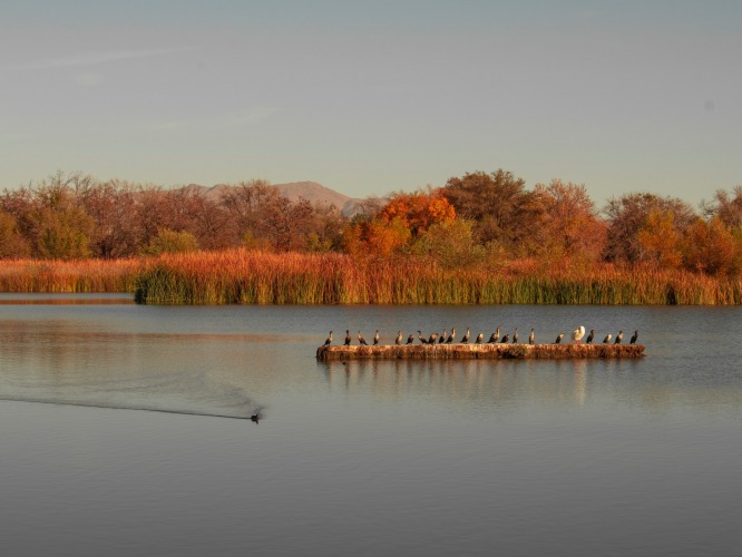 Victorville, United States