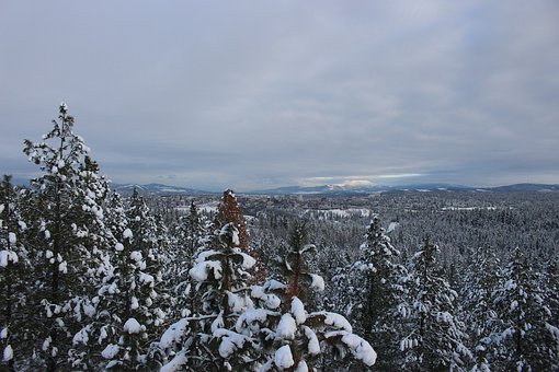 Spokane, WA