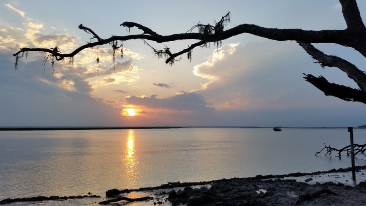 Cumberland Island