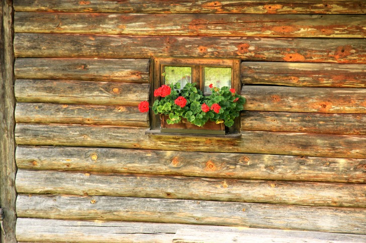 Cabin window with flowers