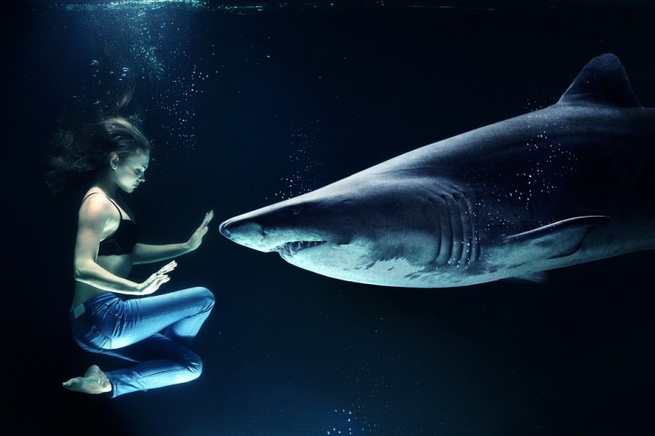 A woman and a shark