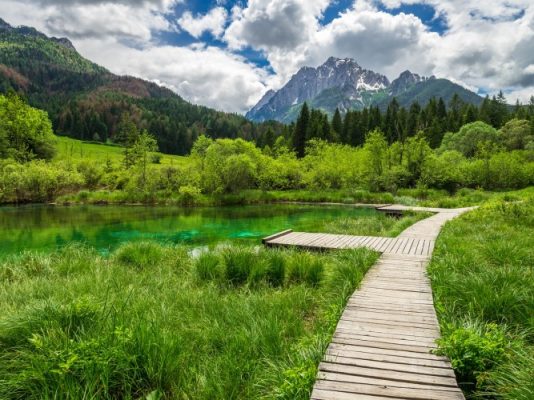 Wooden path 